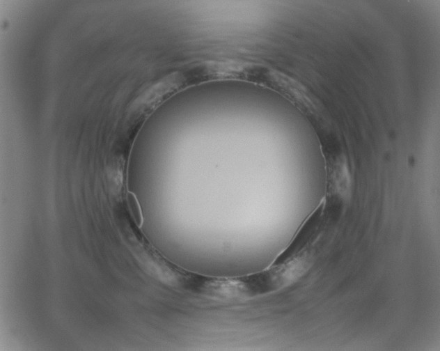 X0000064040427200601271207