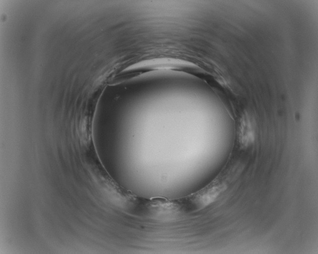 X0000064040428200601271207