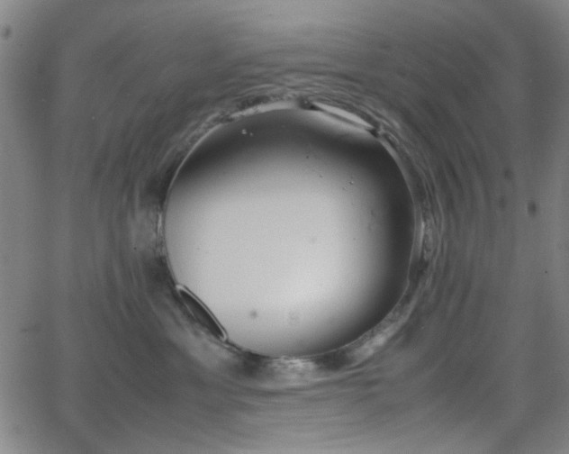 X0000064040429200601271207