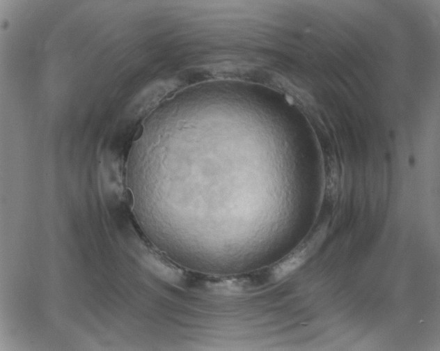 X0000064040430200601271207