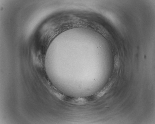 X0000064040431200601271207