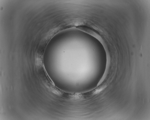 X0000064040432200601271207