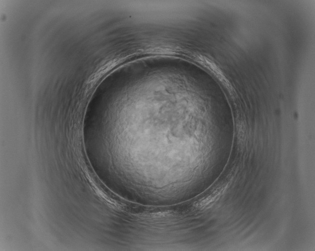 X0000064040433200601271206