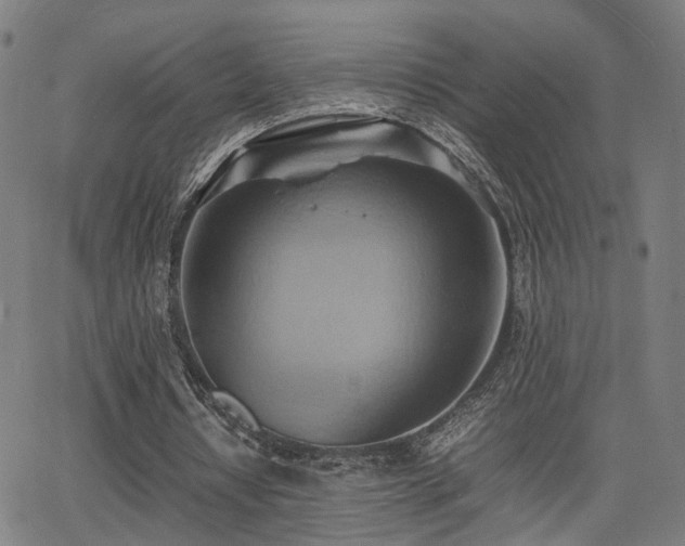 X0000064040434200601271206