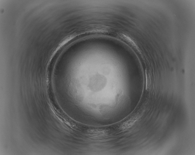 X0000064040435200601271206