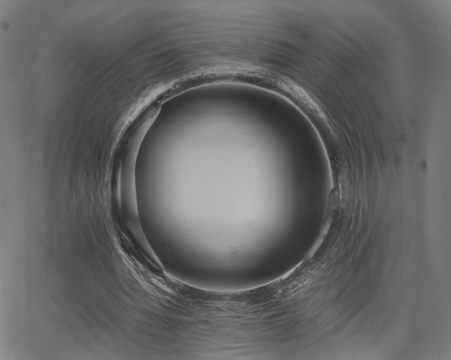 X0000064040436200601271206