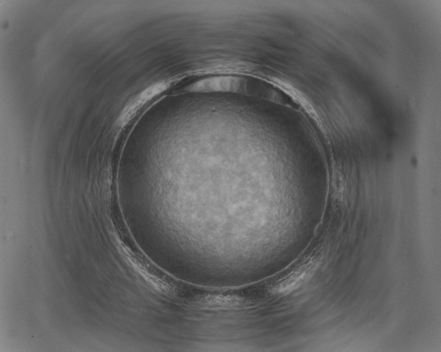 X0000064040437200601271206