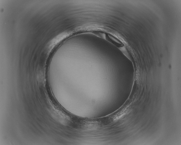 X0000064040438200601271206