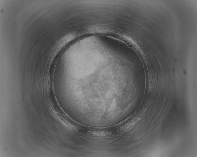 X0000064040439200601271206