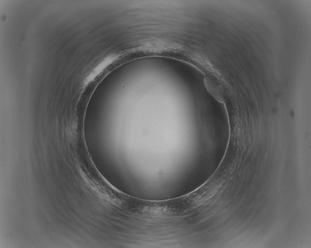 X0000064040440200601271206