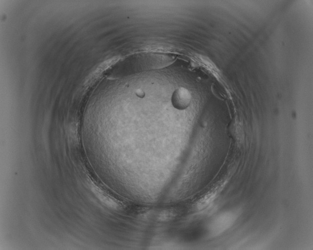 X0000064040441200601271206