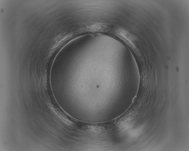 X0000064040442200601271206