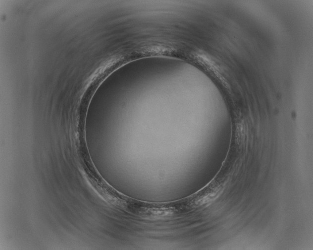 X0000064040443200601271206