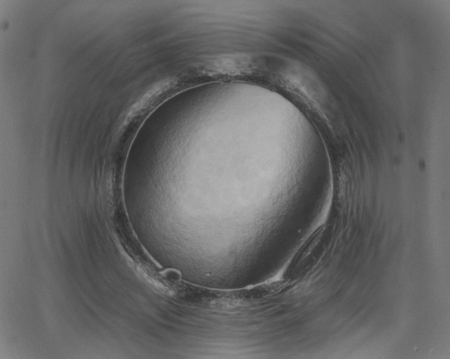 X0000064040444200601271206