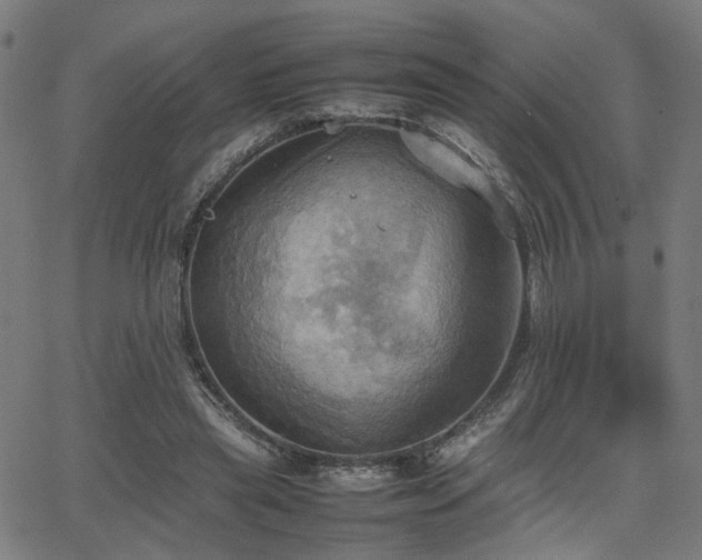 X0000064040445200601271206