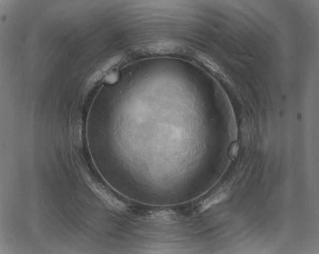 X0000064040446200601271206