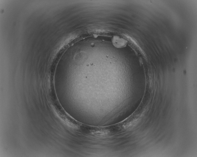 X0000064040447200601271206