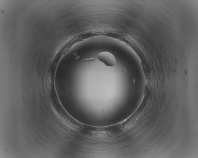 X0000064040448200601271206