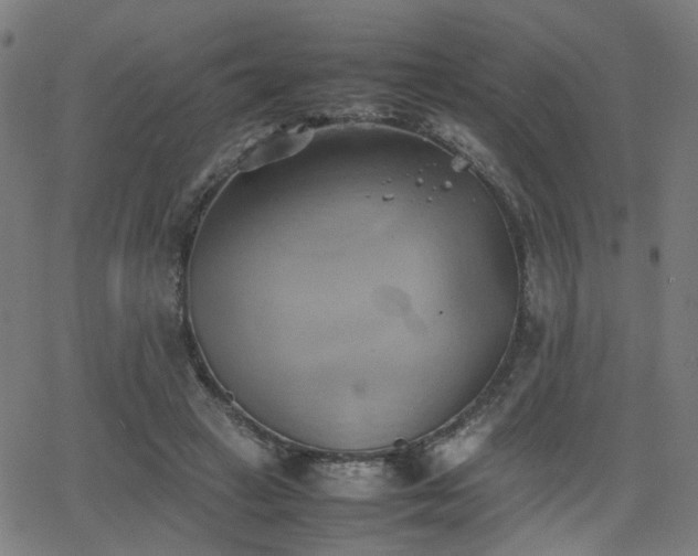 X0000064040449200601271206