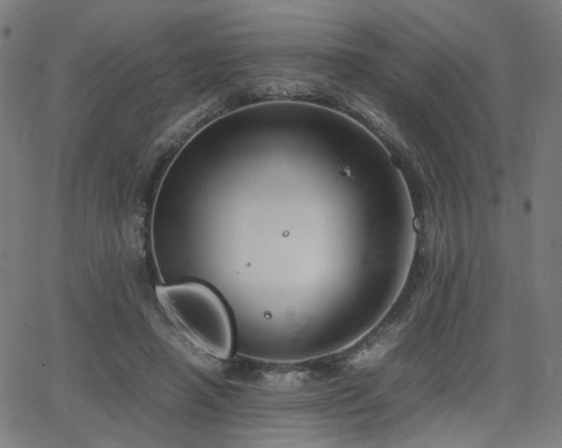 X0000064040450200601271206