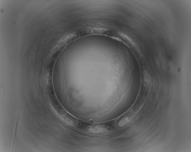 X0000064040451200601271206