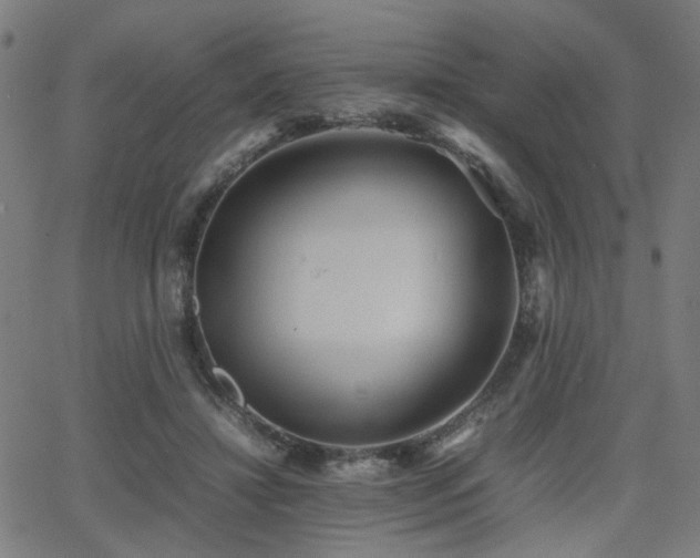 X0000064040452200601271206