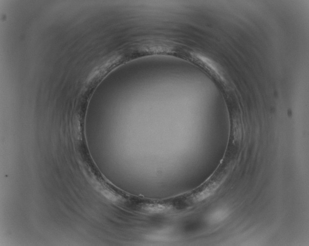 X0000064040453200601271206