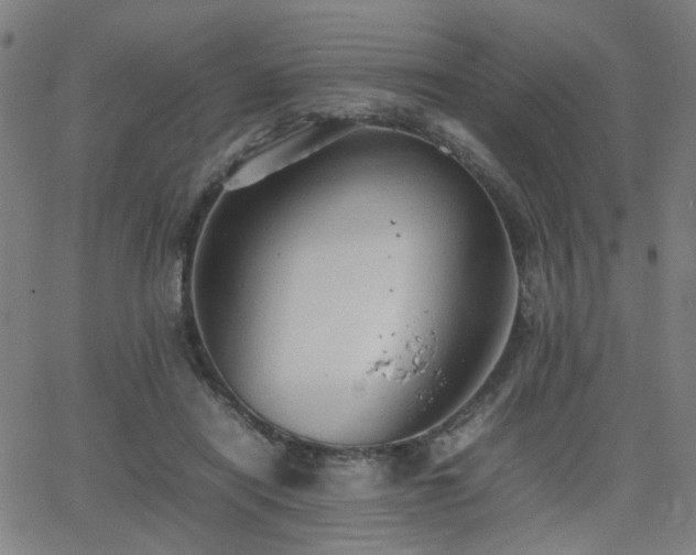 X0000064040454200601271206