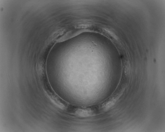 X0000064040455200601271206