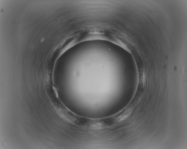 X0000064040456200601271206