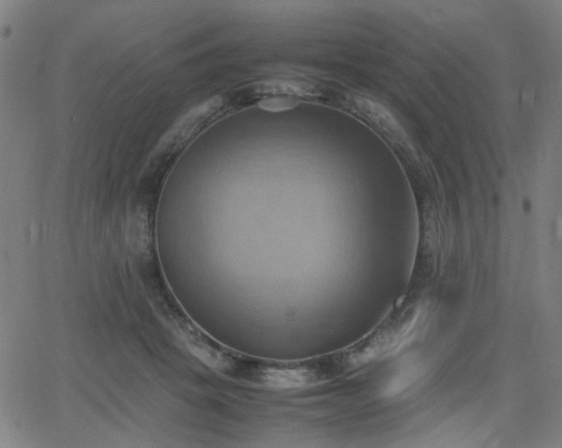 X0000064040457200601271206