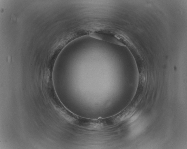 X0000064040458200601271206