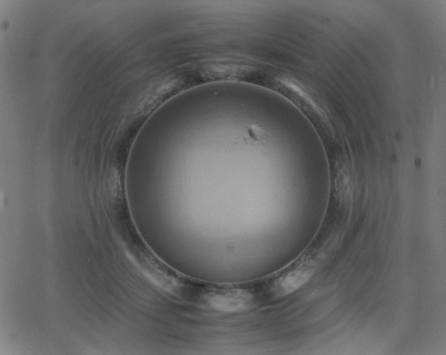 X0000064040459200601271206