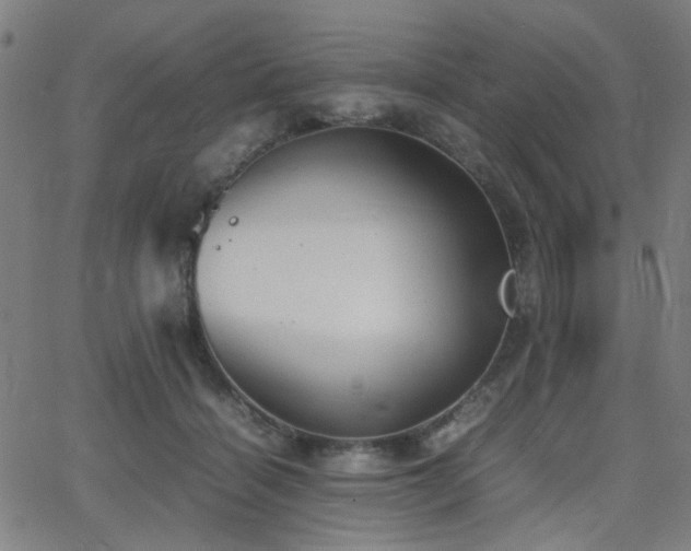 X0000064040460200601271206