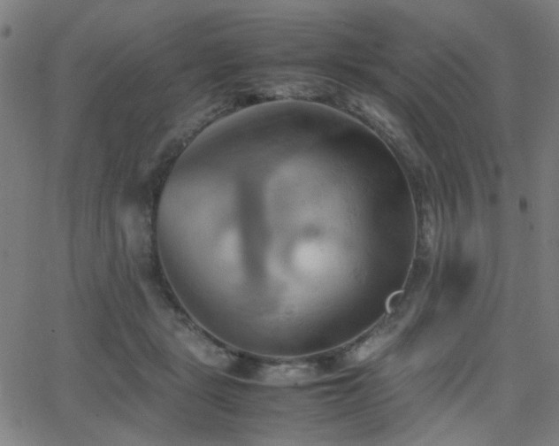 X0000064040461200601271206