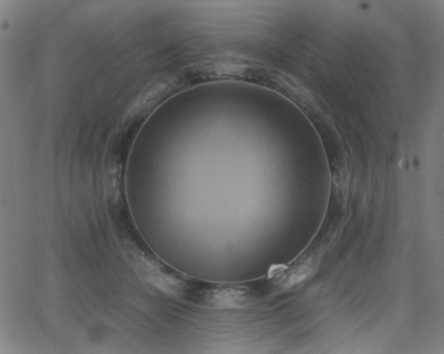 X0000064040462200601271206