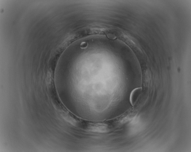 X0000064040463200601271206