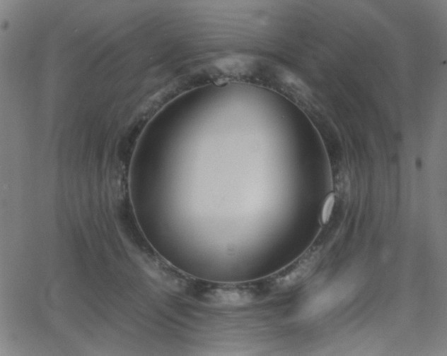 X0000064040464200601271206