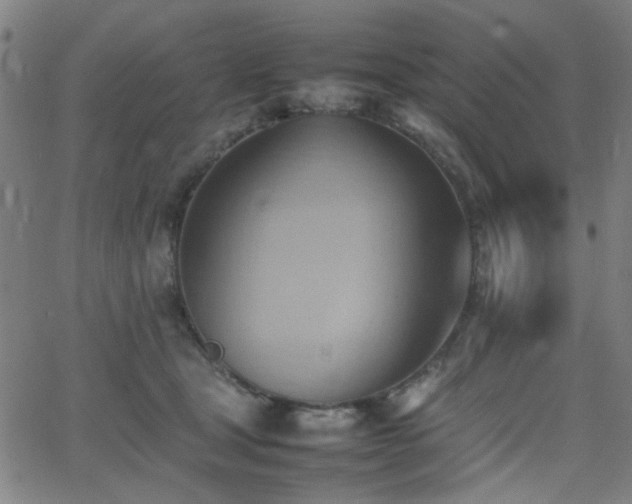 X0000064040465200601271206