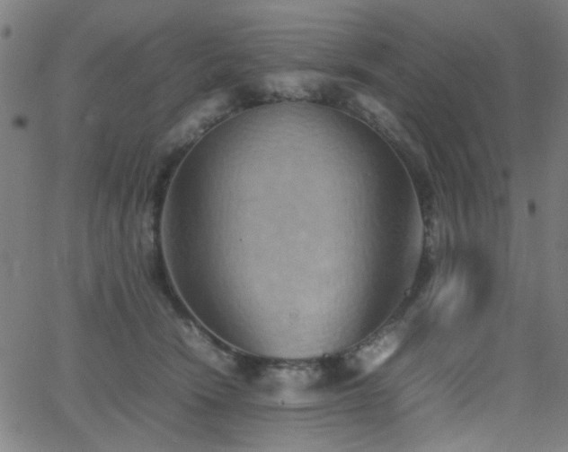 X0000064040466200601271206