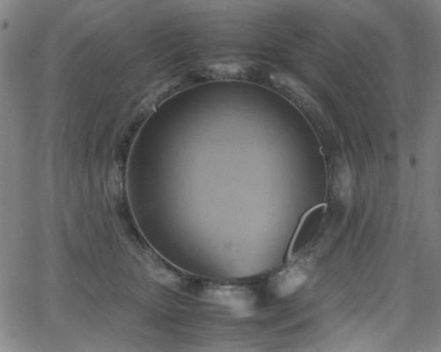 X0000064040467200601271206