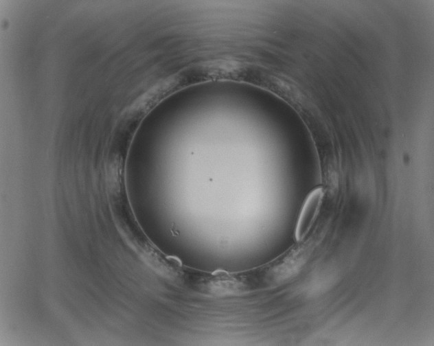 X0000064040468200601271206