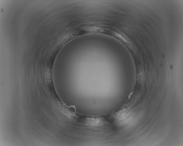 X0000064040469200601271206