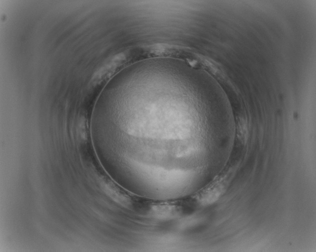 X0000064040470200601271206