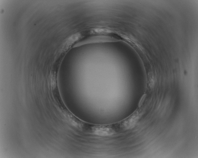 X0000064040471200601271206