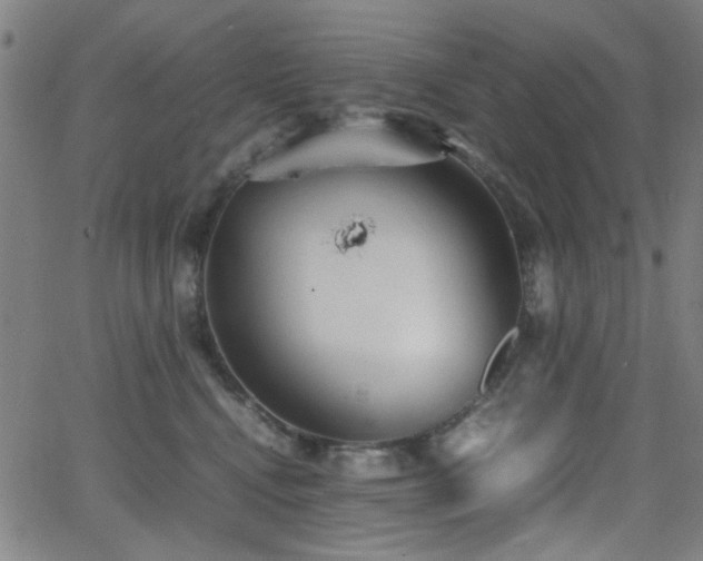 X0000064040472200601271206