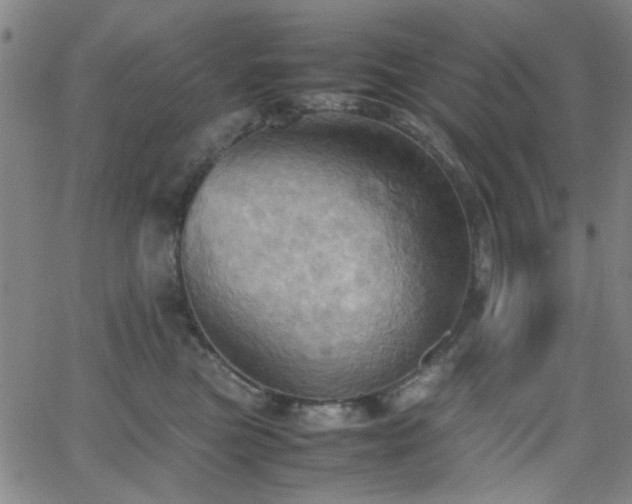 X0000064040473200601271206