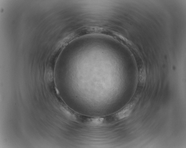 X0000064040474200601271206