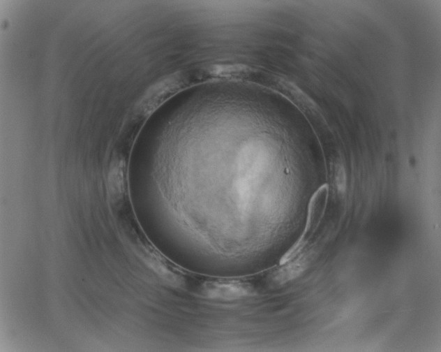 X0000064040475200601271206