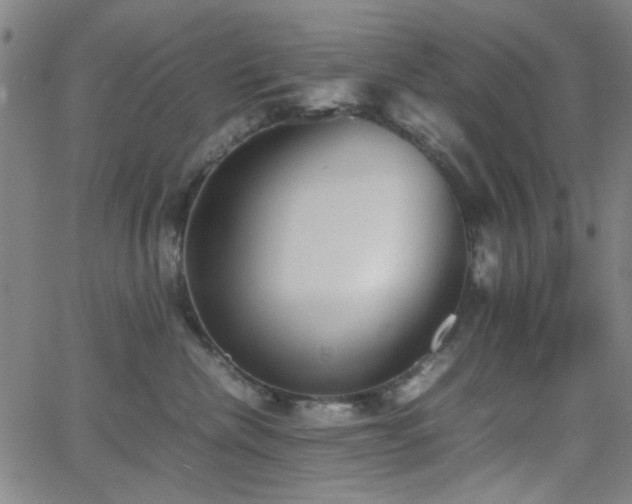 X0000064040476200601271207